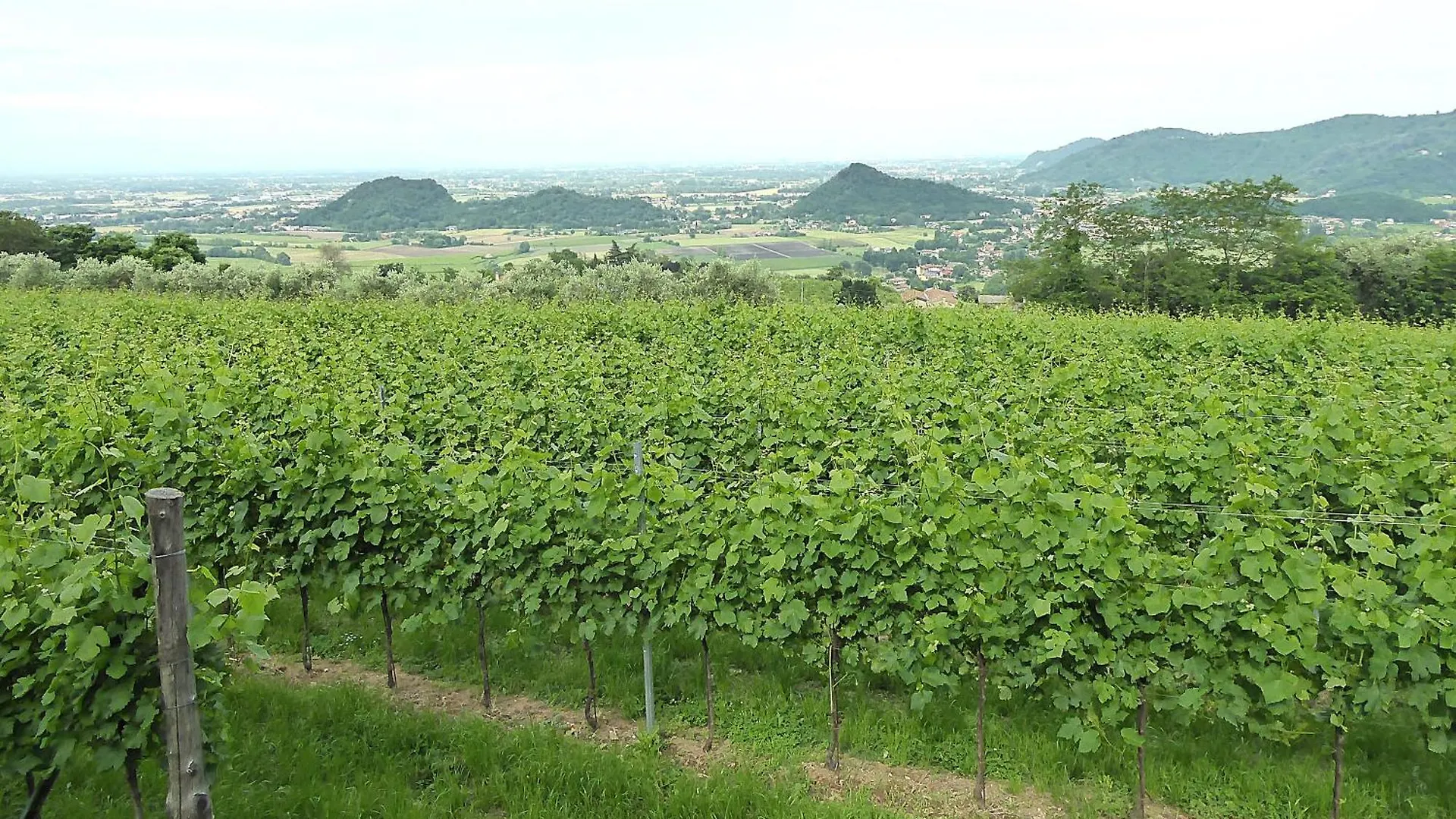 Casa Delle Eriche, Colli Euganei, Pool, Wifi Villa Teolo 0*,